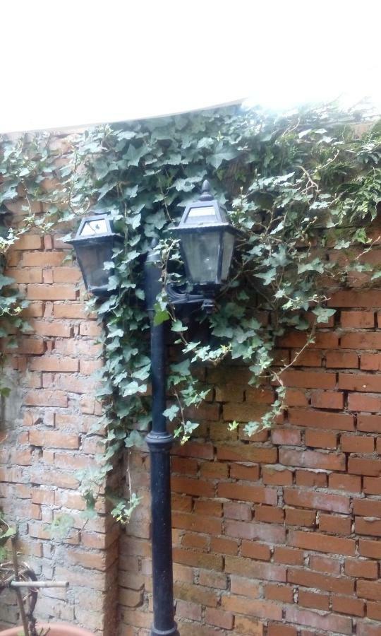 Central Apartment With Garden Milano Esterno foto